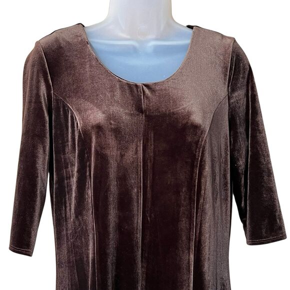 Chadwick's of Boston Brown Velvet Maxi Dress Sz M Fairy Forest Whimsigoth Castle - Picture 7 of 16